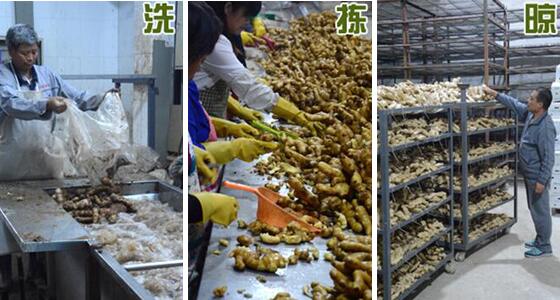 不用硫磺如何清洗生姜？